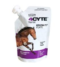 4CYTE FOR EQUINE