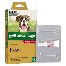 ADVANTAGE DOG 10-25KG LARGE RED 1'S