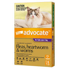 ADVOCATE CAT 4KG PLUS LARGE PURPLE