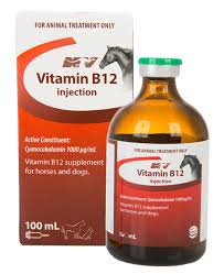 CEVA B12 100ML