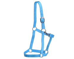 ECONO STABLE HALTER TURQUOISE