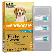 ADVOCATE DOG 4-10KG MEDIUM AQUA