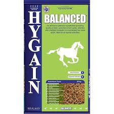 HYGAIN BALANCED 20 KG