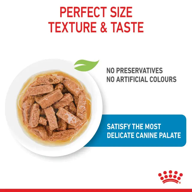 ROYAL CANIN PUPPY MAXI WET 140G
