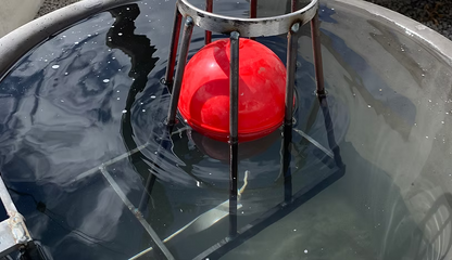 MT BARKER 1" S/STL FLOAT VALVE 6"