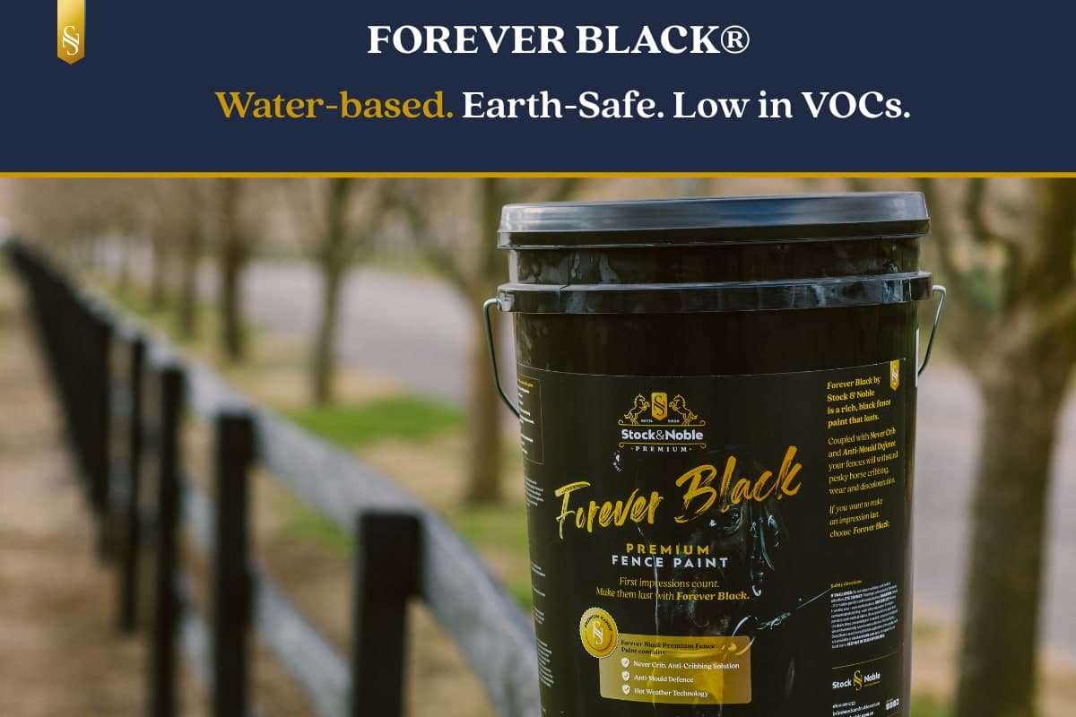 MASTER BLEND PAINT FOREVER BLACK