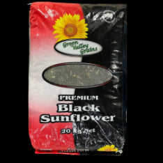 GVG BLACK SUNFLOWER