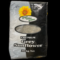 GVG GREY SUNFLOWER