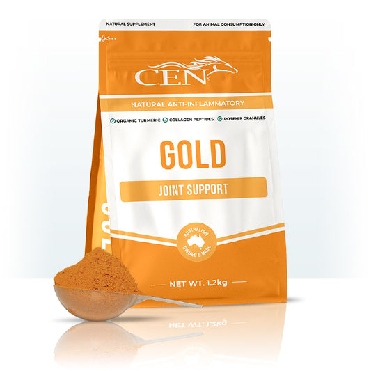 CEN GOLD 1.5KG