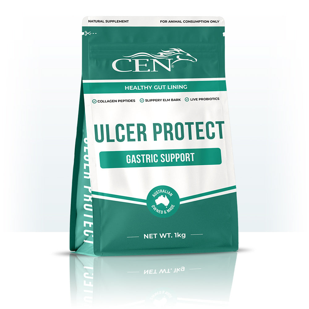 CEN ULCER PROTECT 1KG