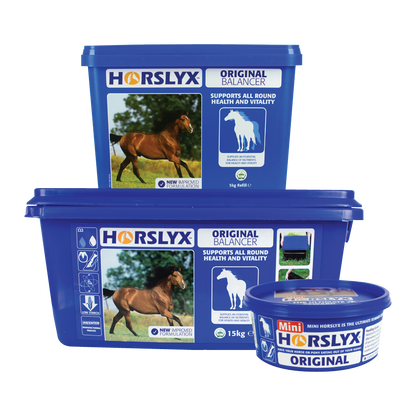 HORSLYX ORIGINAL