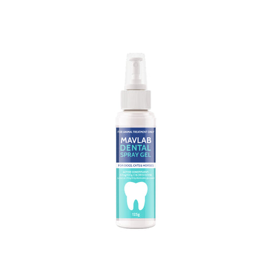 MAVLAB DENTAL SPRAY GEL 125ML