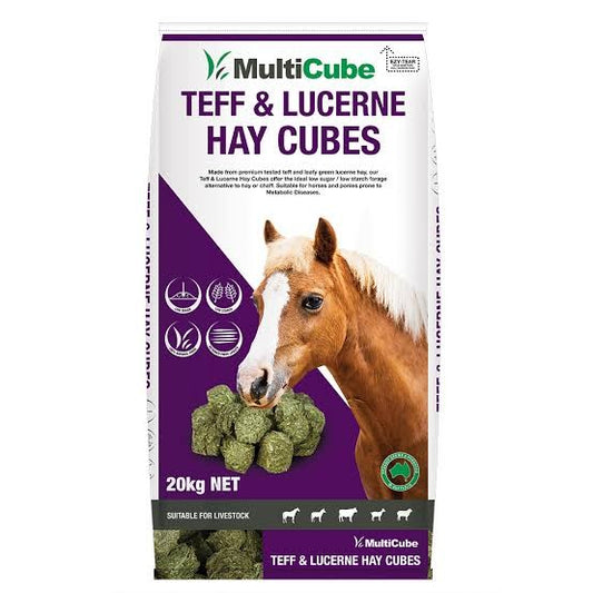 Multicube Teff & Lucerne - Purple 20kg