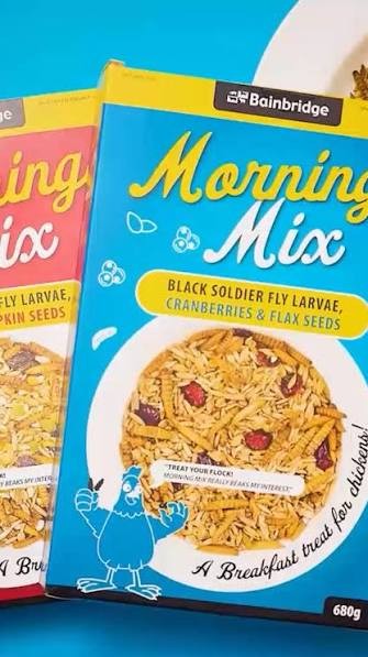 Bainbridge Morning Mix 680g