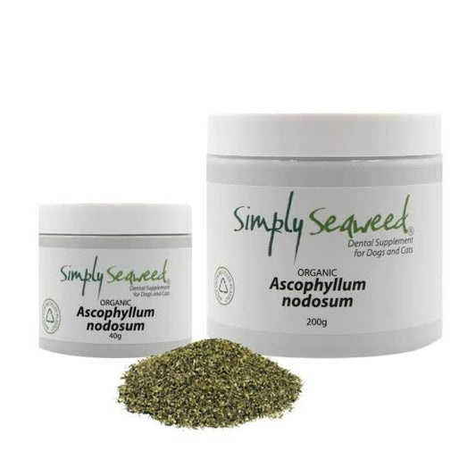 Simply Seaweed Dental For Dogs & Cats