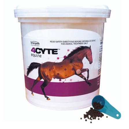 4Cyte Equine Granules 700g