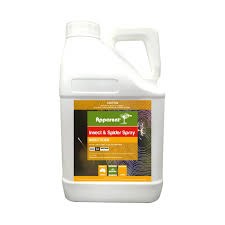 Apparent Insect & Spider Spray