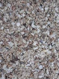 Medium Shellgrit