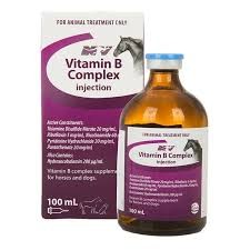 Ceva Vitamin B Complex 100ml