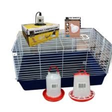 iPetz Small Chicken Starter Kit