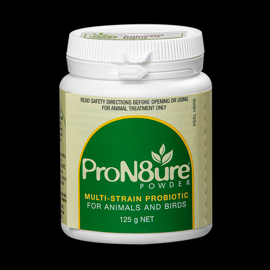 IAH PROTEXIN POWDER