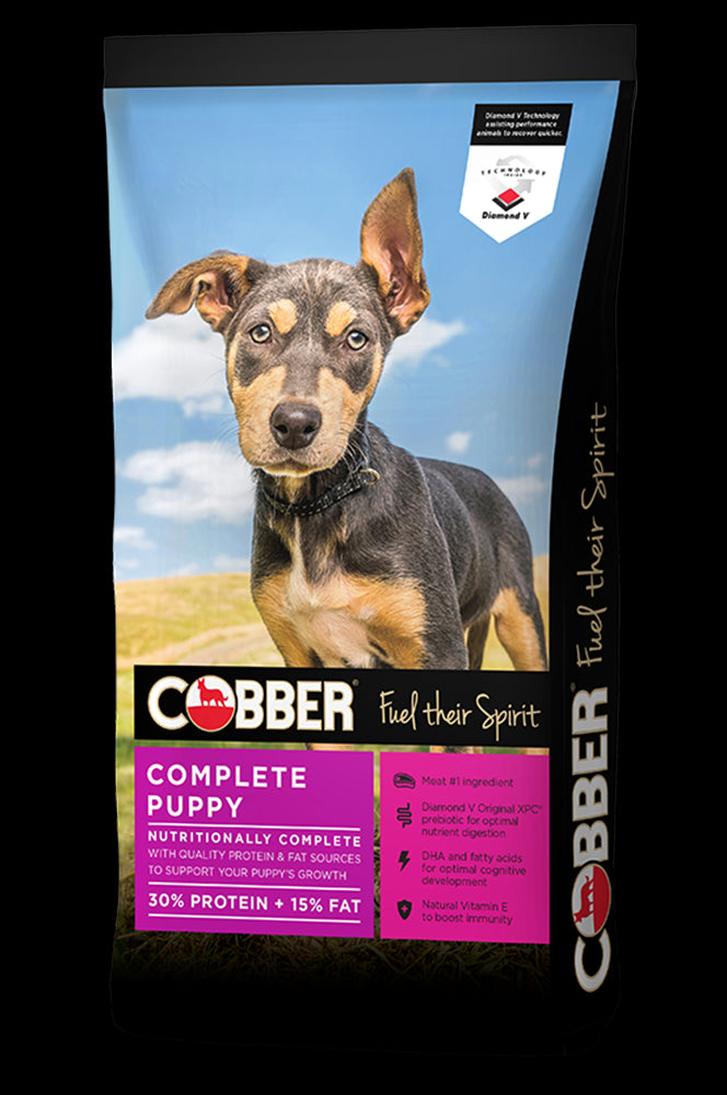 COBBER PUPPY 8KG