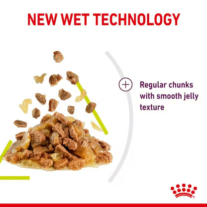 ROYAL CANIN CAT SENSORY SMELL JELLY 85G
