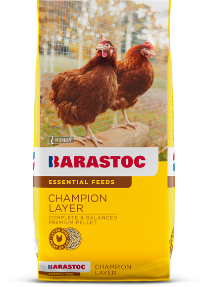 BARASTOC CHAMPION LAYER PELLET