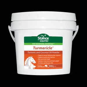 EQUITEC TUMERICLE 200G