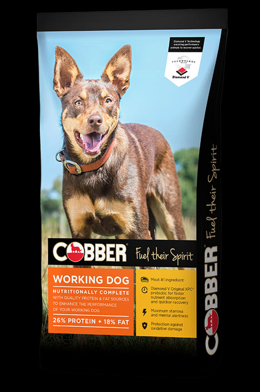 COBBER WORKING DOG 20KG